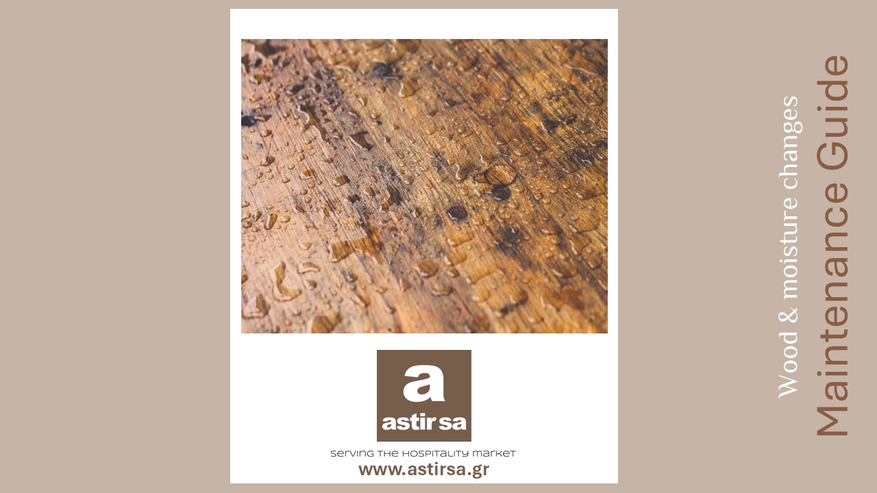 Maintenance: Wood & Moisture