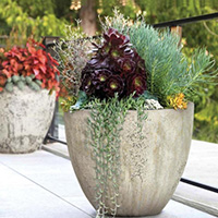 Flower pots – Artificial plants