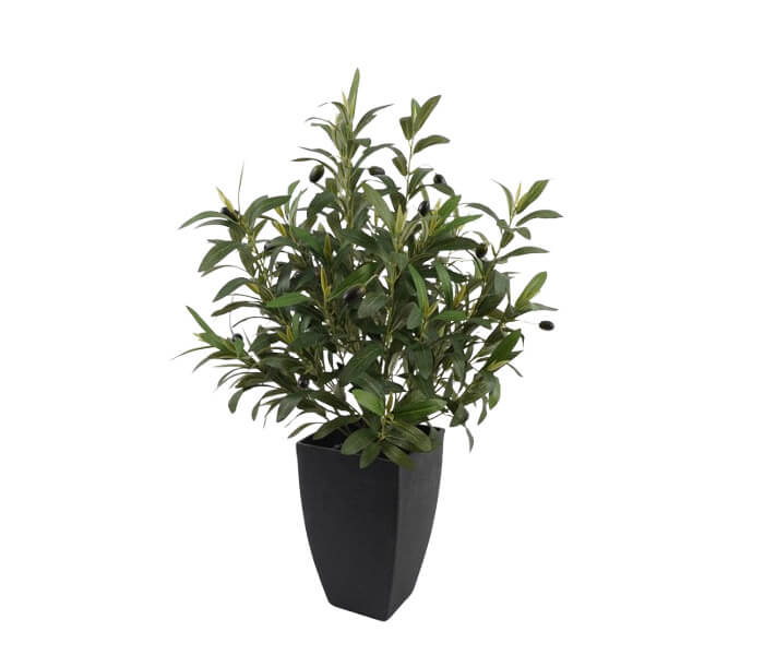 02.7308.0199: Γλαστράκι πλαστκό με ελιά