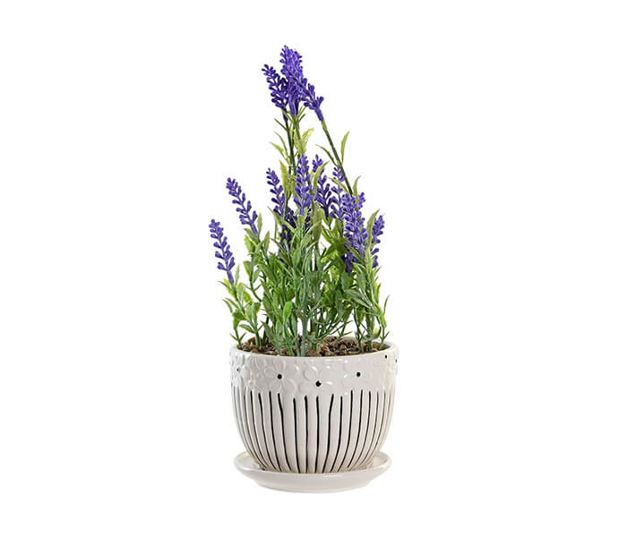 02.7308.0202: Γλαστράκι κεραμικό με λεβάντα