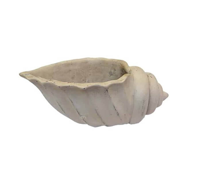 15.6219.0104: Διακοσμητικό κοχύλι, cement