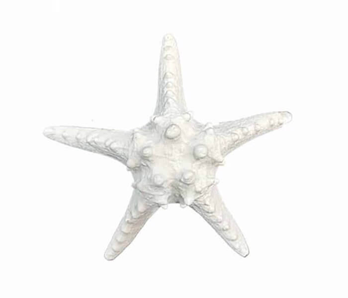 15.6219.0109: Διακοσμητικό αστερίας, ρητίνη