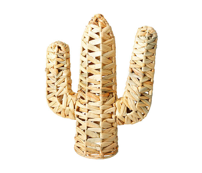 15.7281.0348: διακοσμητικό κάκτος, rattan