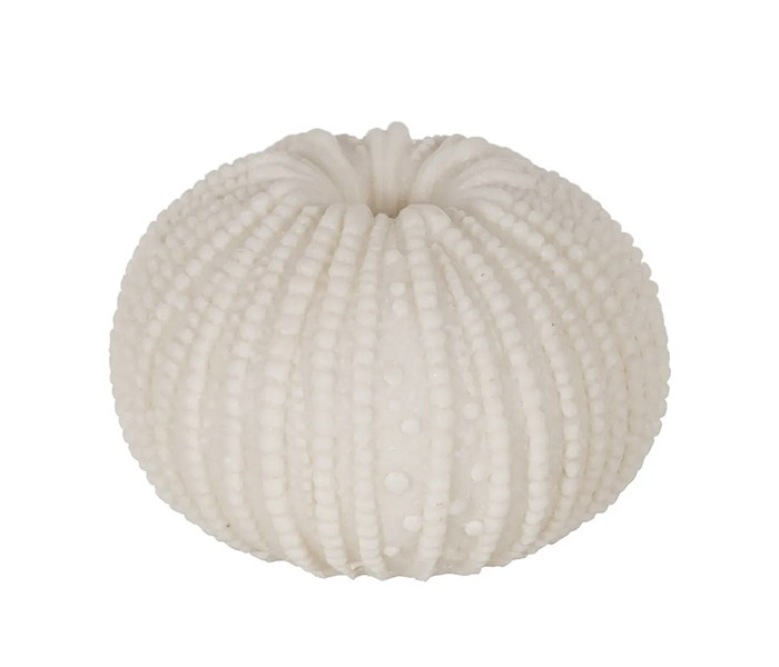 Alternative image
