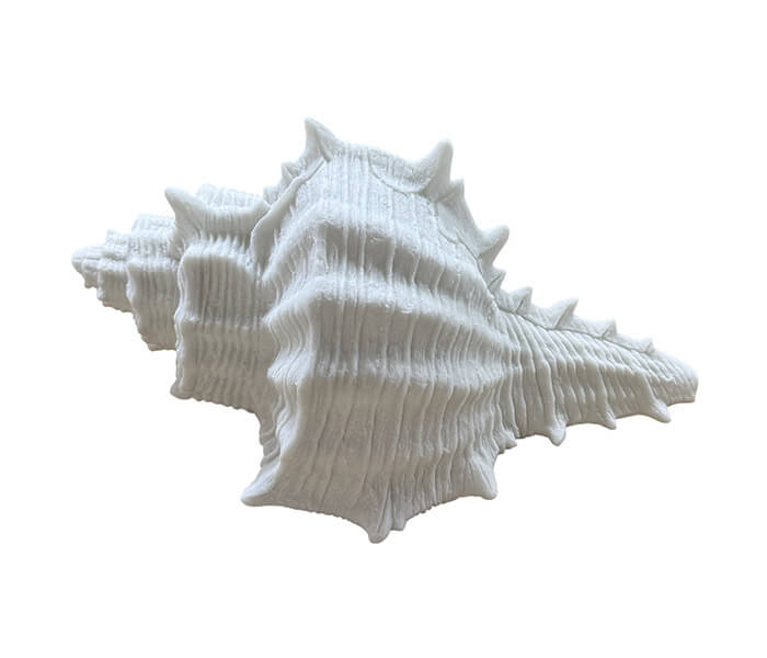 16.7308.0324: φωτιστικό επιτραπέζιο, κοχύλι, αμμόλιθος