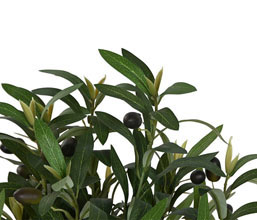 02.7308.0199: Γλαστράκι πλαστκό με ελιά