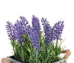 02.7308.0203: Γλαστράκι ξύλινο με λεβάντα