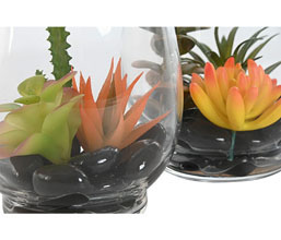 02.7308.0224: Γυάλινο βάζο με φυτά και βότσαλα