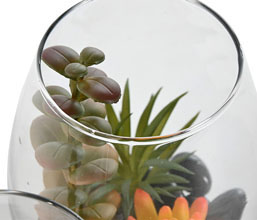 02.7308.0225: Γυάλινο βάζο με φυτά και βότσαλα