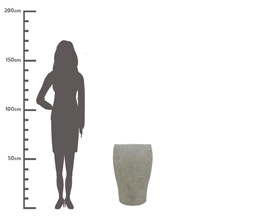 Alternative image