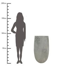 Alternative image