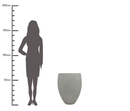 Alternative image
