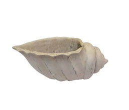 15.6219.0104 - Διακοσμητικό κοχύλι, cement

