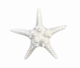 15.6219.0109 - Διακοσμητικό αστερίας, ρητίνη

