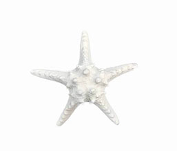 15.6219.0115 - Διακοσμητικό αστερίας, ρητίνη

