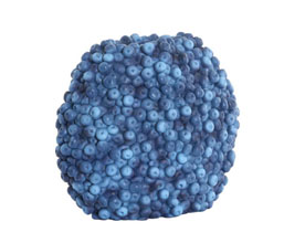 Alternative image