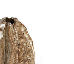 15.7277.0119: Βάζο κεραμικό