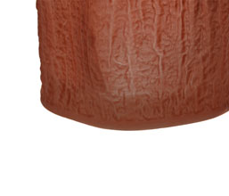 Alternative image