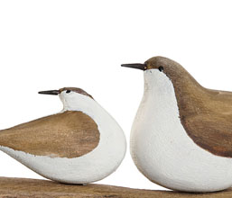 Alternative image