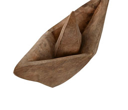 Alternative image