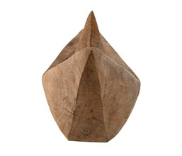 Alternative image