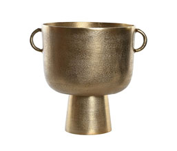 Alternative image