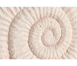 15.7308.0994: Door stop ρητίνη, 