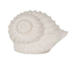 Alternative image