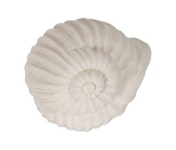 Alternative image