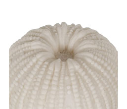 Alternative image