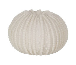 Alternative image