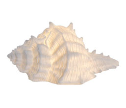 16.7308.0324: φωτιστικό επιτραπέζιο, κοχύλι, αμμόλιθος