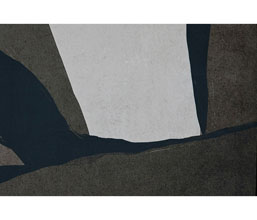 Alternative image