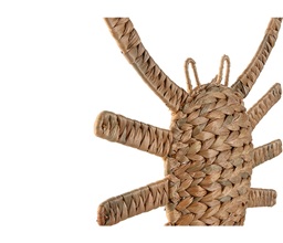 Alternative image
