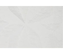 Alternative image