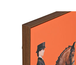 Alternative image