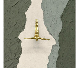 Alternative image