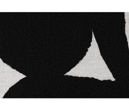Alternative image